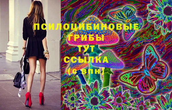 ешки Алексин