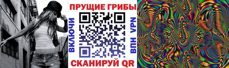 Псилоцибиновые грибы мицелий  omg зеркало  Старая Купавна 